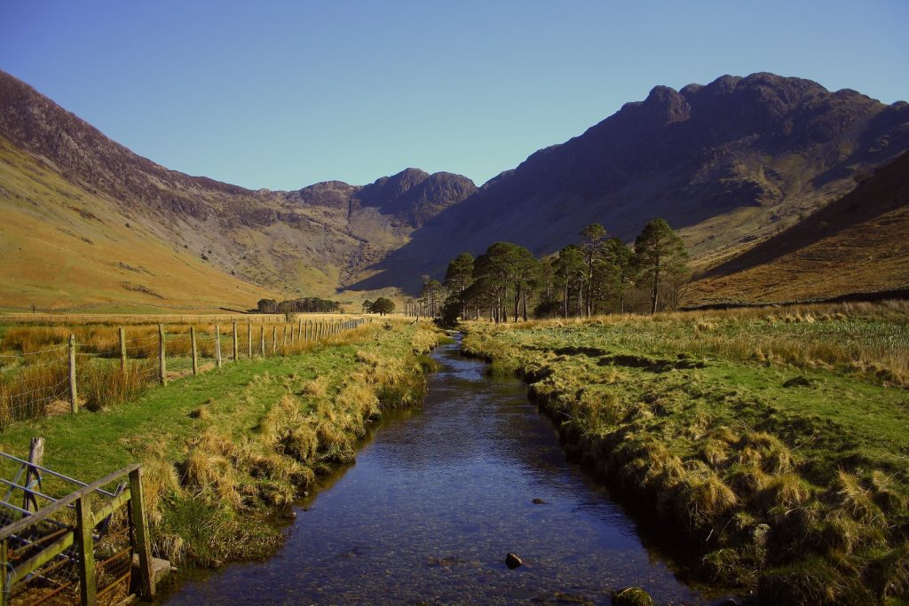 flowing water between green grass during daytime
